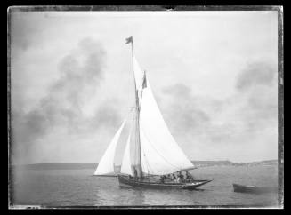 Sloop at South Head