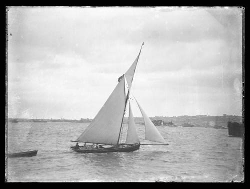 Sloop at Rose Bay