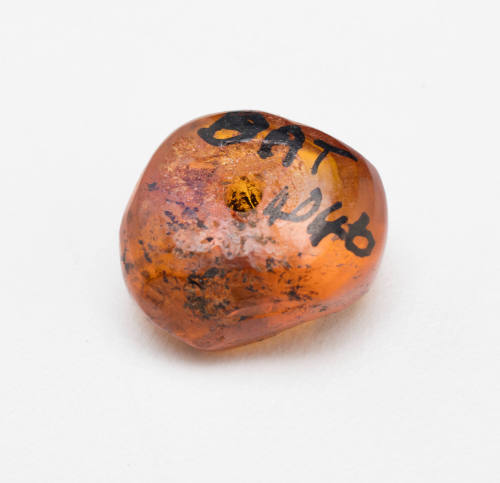 Amber bead from the wreck site of the BATAVIA