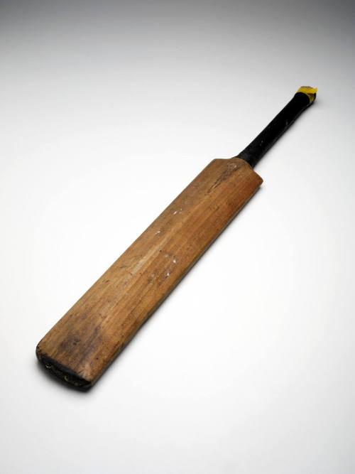 Cricket bat