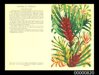 Menu cover from the ARCADIA