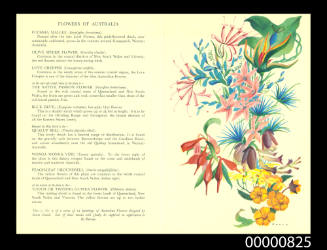 Menu cover from the ARCADIA