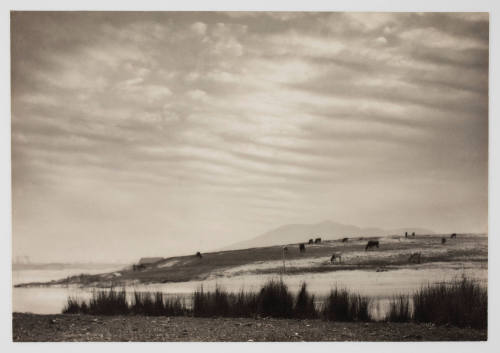 Marshlands, Fleurieu Peninsula