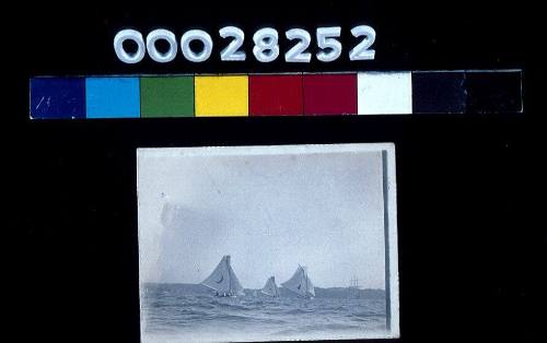 Three skiffs racing: photographic study for the frieze 'Sydney Harbour Foreshores at Sunset' by Muriel Binney