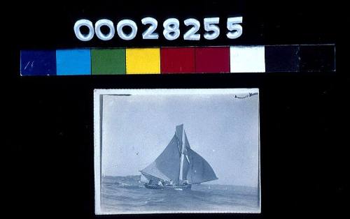 Skiff seen from starboard side: photographic study for the frieze 'Sydney Harbour Foreshores at Sunset' by Muriel Binney