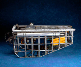 Self-propelled shark proof cage