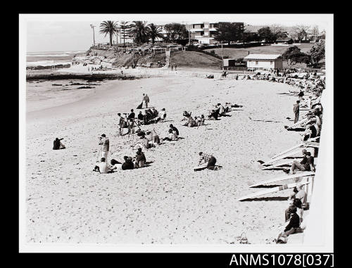 Surfing competition at Collaroy Beach