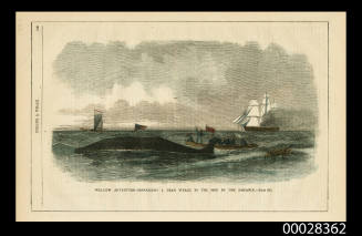 Whaling Adventure - Signalling a Dead Whale to the Ship in the Distance