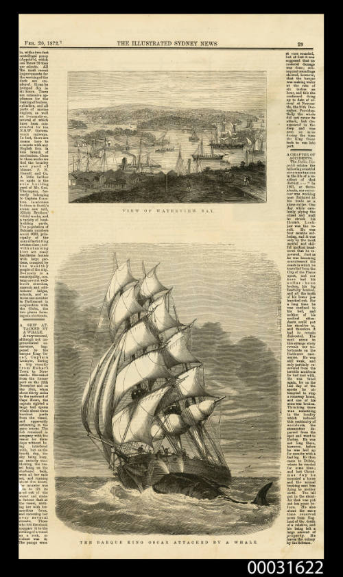 The barque KING OSCAR attacked by a whale