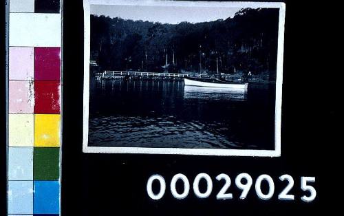 Motor boat KOONYA moored on the Hawkesbury or Colo river