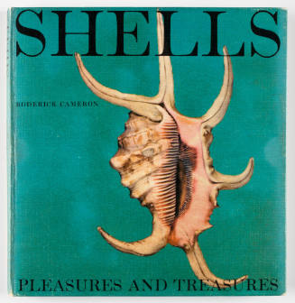 Shells Pleasures and Treasures