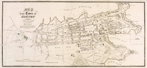 Map of the Town of Sydney