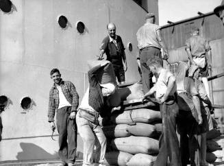 Loading wheat, Darling Harbour