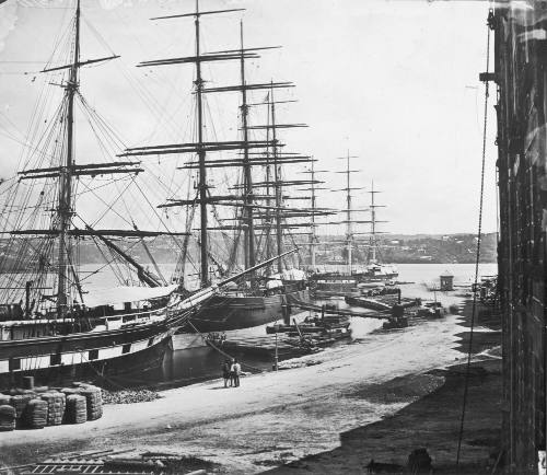 Circular Quay, January 1871