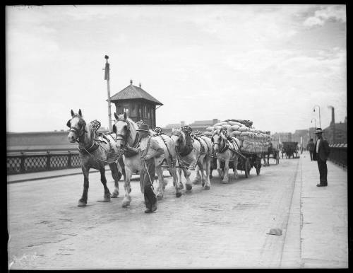 Work horses, cargo cart and men crossing Pyrmont Bridge in Sydney