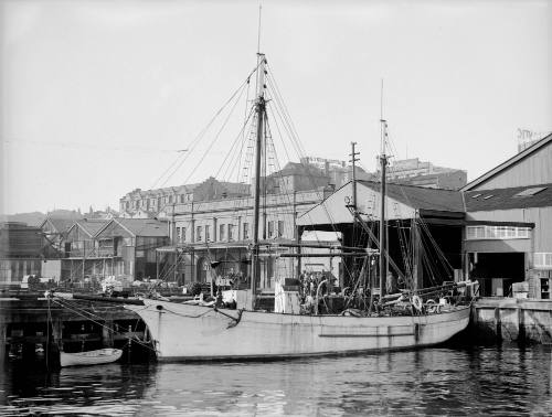 View of CORWA sailing ketch berthed alongside wharf