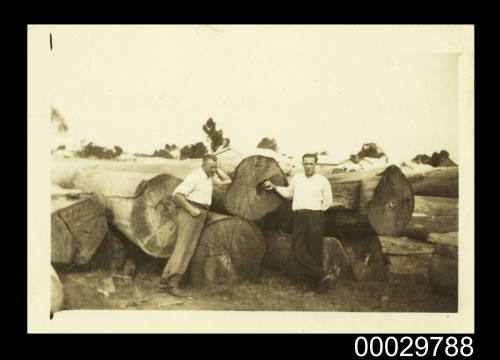 Jekabs Osis and workmate standing in front of tree trunk logs