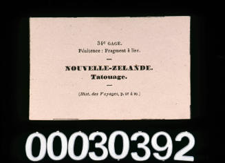 Nouvelle-Zealande card from the game Le Tour de Monde