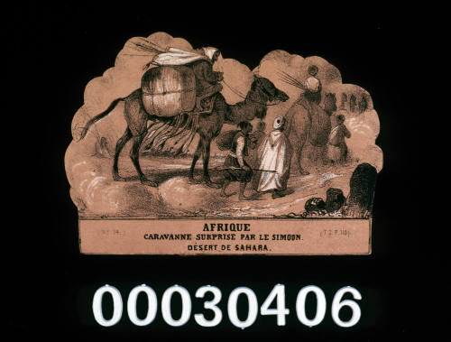 Afrique card from the game Le Tour de Monde