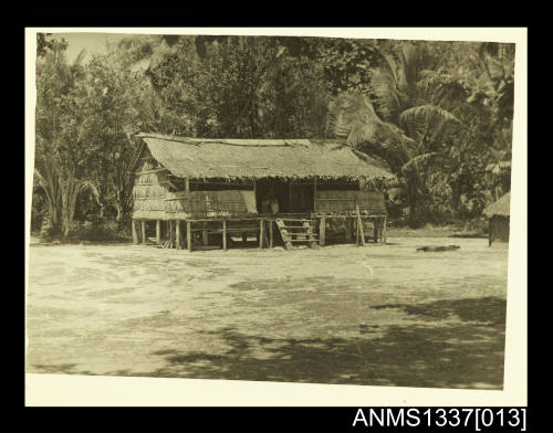 Photograph of thatched hut of palm tree leaves