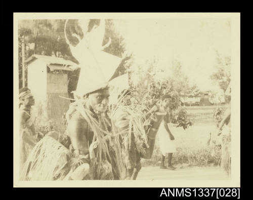 Photograph of a Papuan wearing head-dress