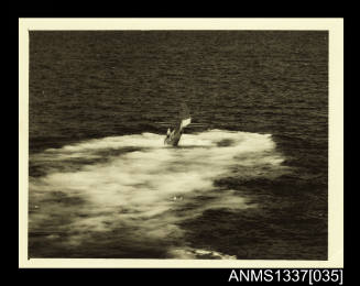 Photograph of RAAF plane sinking into the sea