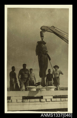 Photograph of a large groper hoisted above the wharf