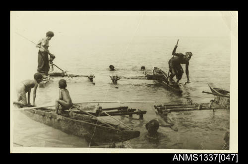 Photograph of natives diving into the water from native boats