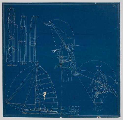 Blueprint of sail plan of TAIPAN or of a Taipan type 18 foot skiff
