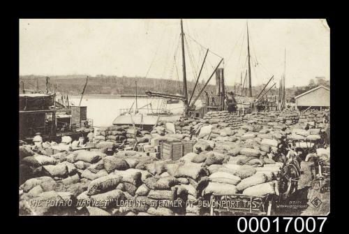 The Potato Harvest, loading steamer at Devonport, Tasmania