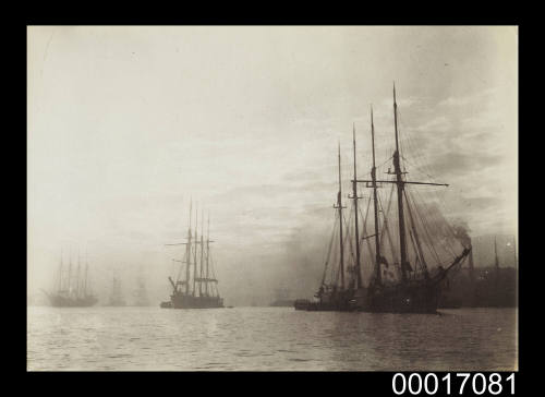 Four masted barques at anchor in Sydney Harbour