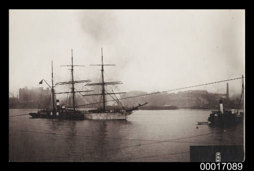 Sailing ship at Johnston's Bay