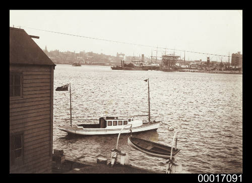 View of Balmain from Johnston's Bay