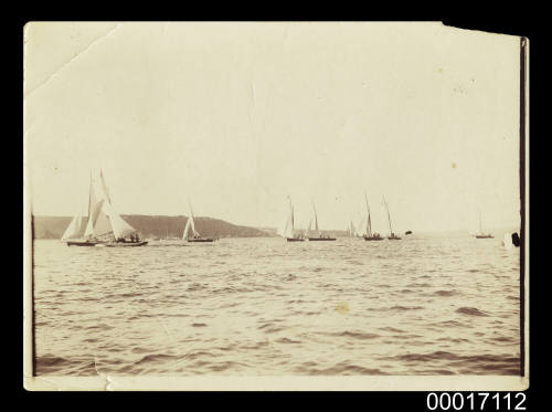 Sail boat race in Sydney Harbour