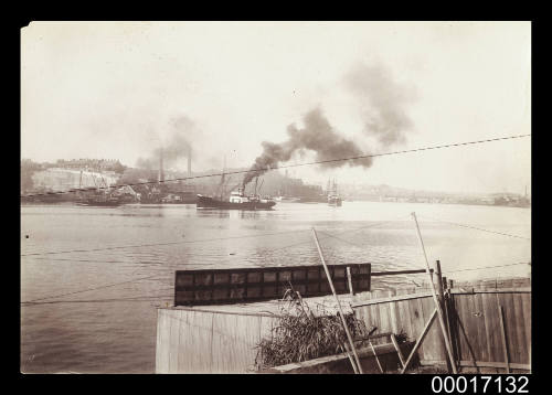 Steam vessel underway in Johnston's Bay