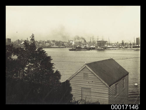 Johnston's Bay from Balmain