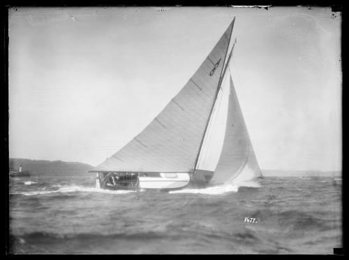 Gaff-rigged 21-foot class SASC yacht with A5 sail number heeled over on Sydney Harbour