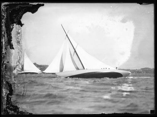 Sloops on Sydney Harbour, inscribed 3691