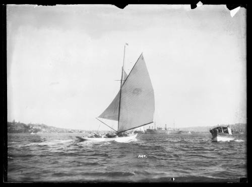 Classic Sailing vessel on Sydney Harbour, inscribed 3694