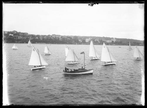 Sloops on Sydney Harbour, inscribed 4127