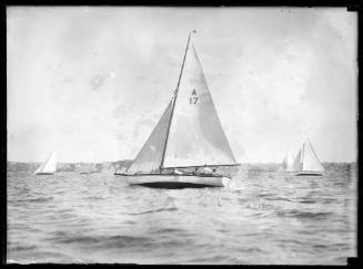 Sloop rigged yacht  A17 from SASC, sailing with other club yachts on Sydney harbour