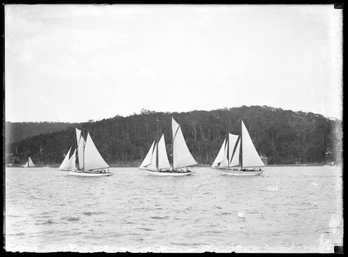 Three schooners and a gaff rigged boat sail on what is possibly Pittwater