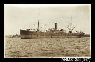 Postcard depicting the cargo ship SS GRACCHUS