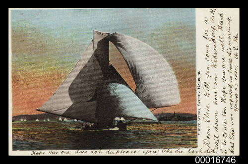 Postcard of a sailing boat WHITE WINGS on Sydney Harbour posted on 23 May 1905