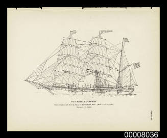 Plate 187. The Whale Fishery. Steam whaling bark MARY & HELEN is of New Bedford, Mass.