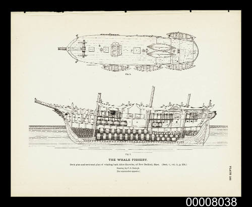 Plate 189. Deck and sectional plan of whaling bark ALICE KNOWLES, of New Bedford Mass.