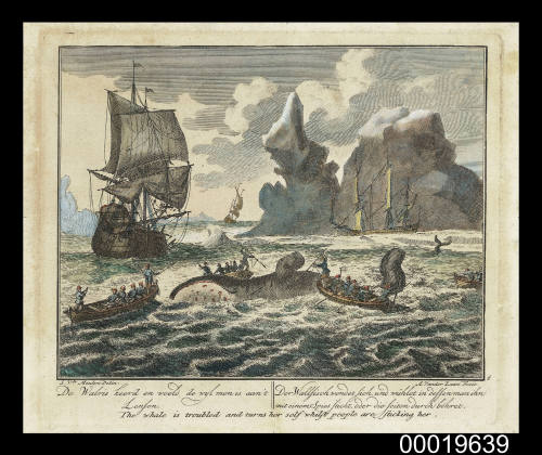 Groote Visschery. The whale is troubled and turns herself while people are sticking her (Plate 6)