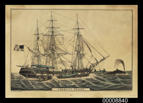 American Whaler