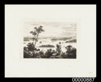 Untitled (Sydney Harbour from Vaucluse)