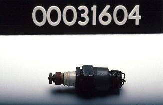 Spark plug in casing